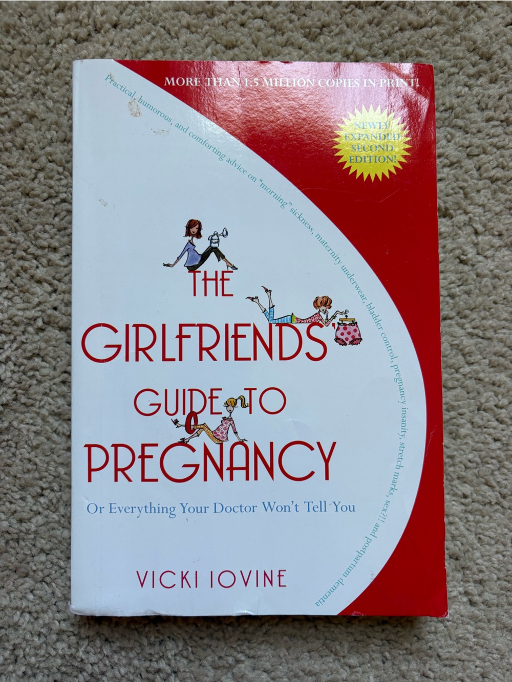 The Girlfriends Guide to Pregnancy by Vicki Iovine
